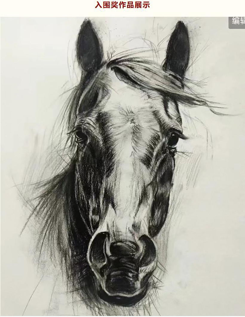 1768295268926474.jpg 12.jpg